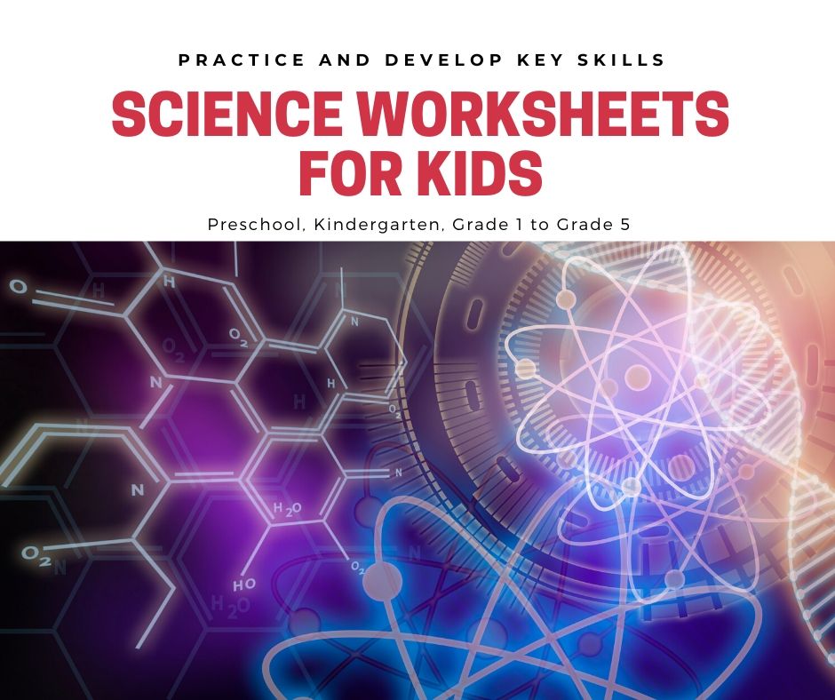 science worksheets for kindergarten grade free printable kindergarten grade science worksheets schoolmykids com