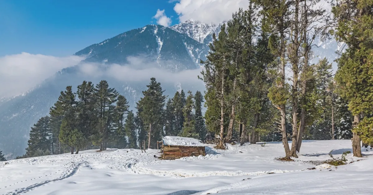 The Science of Snow: Exploring Winter Wonders with Kids