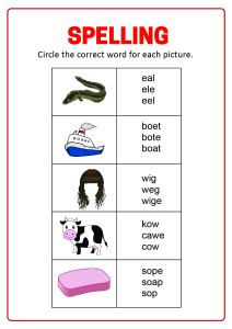 spelling circle the correct word worksheets for first second grade english worksheets schoolmykids com