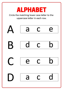 Match Uppercase and Lowercase Letters A B C D- Alphabet Matching ...