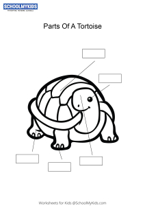 Label and color the parts of a Tortoise worksheet for Kindergarten ...