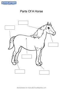 label and color the parts of a horse worksheets for kindergarten first second grade science worksheets schoolmykids com