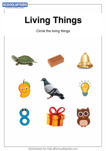 What Are Living Things? worksheet for Preschool,Kindergarten,First ...