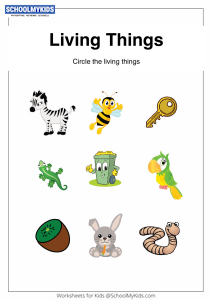 Identify Living Things worksheet for Preschool,Kindergarten Grade ...