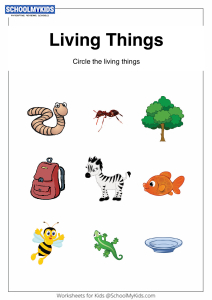 5 pictures of living things for kids